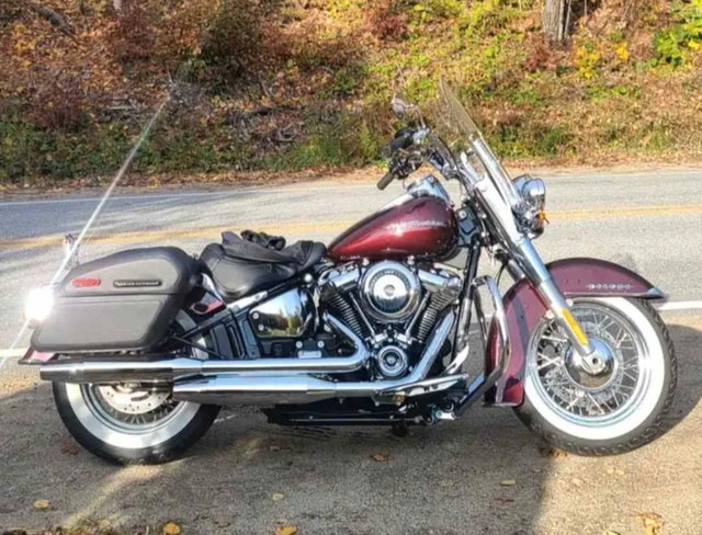 Harley Davidson Softail Deluxe 2018 in Touring in Gatineau