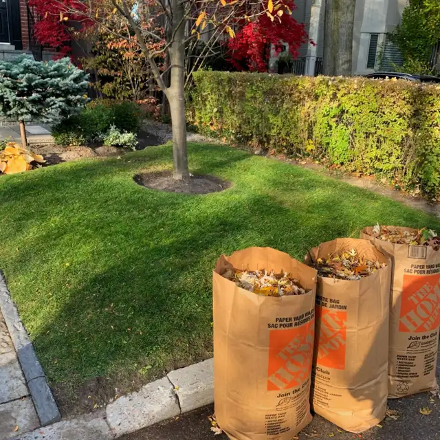 yard cleaning 65712756806785120