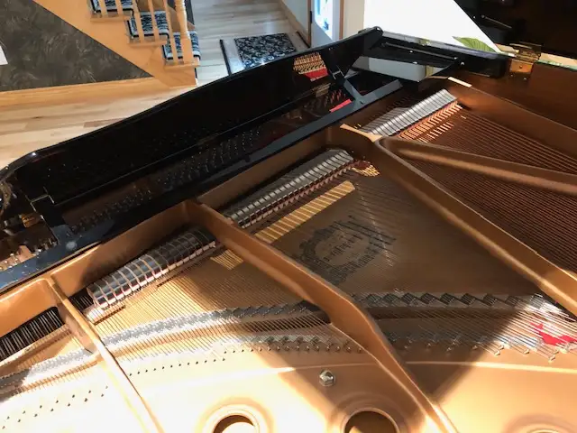 YAMAHA DC1 Grand Piano with Disklavier62863273700739123