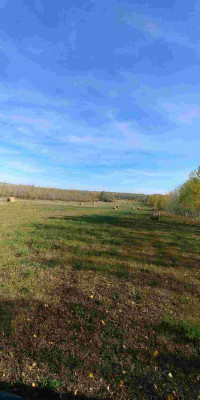 1/4 section of beautiful farmland 10 minutes from town!