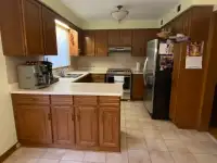 Full Kitchen Set - Countertop and Oak Cabinets