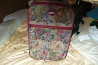 geo carry on luggage