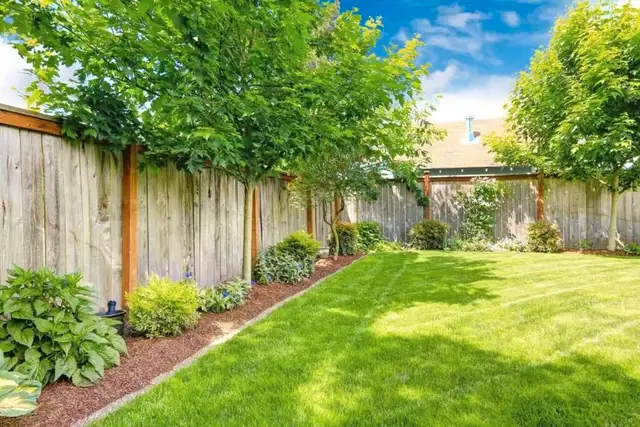 Lawn maintenance63235386012033124