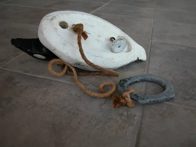 Duck Decoys - 'Golden Eyes' in Fishing, Camping & Outdoors in Ottawa - Image 4