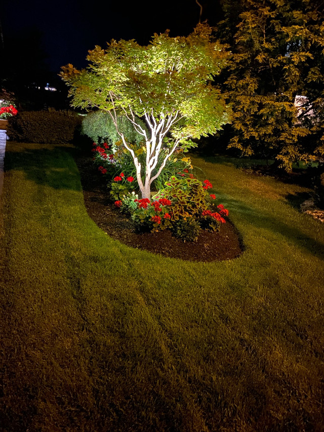 Landscaping services; Aeration overseed and fertilizer in Other in Mississauga / Peel Region - Image 2