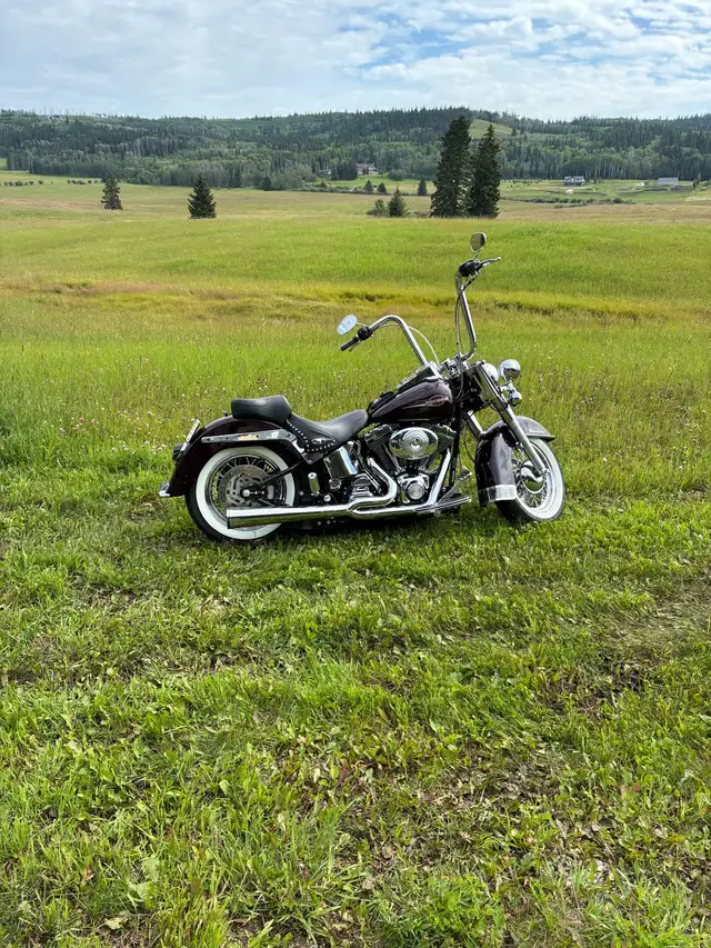 2006 Harley Davidson in Street, Cruisers & Choppers in Calgary - Image 2