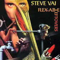 CD-STEVE VAI-FLEX-ABLE LEFTOVERS-1984 (1998)IMPORTATION USA(RARE