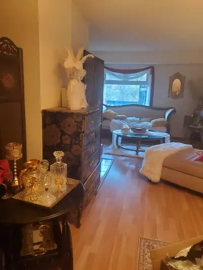 Need a roomy ...month free with lease ...