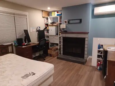 A private room is available to rent in a friendly, tidy house with three women and a wonderful cat....