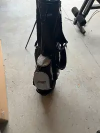 Dasani golf bag