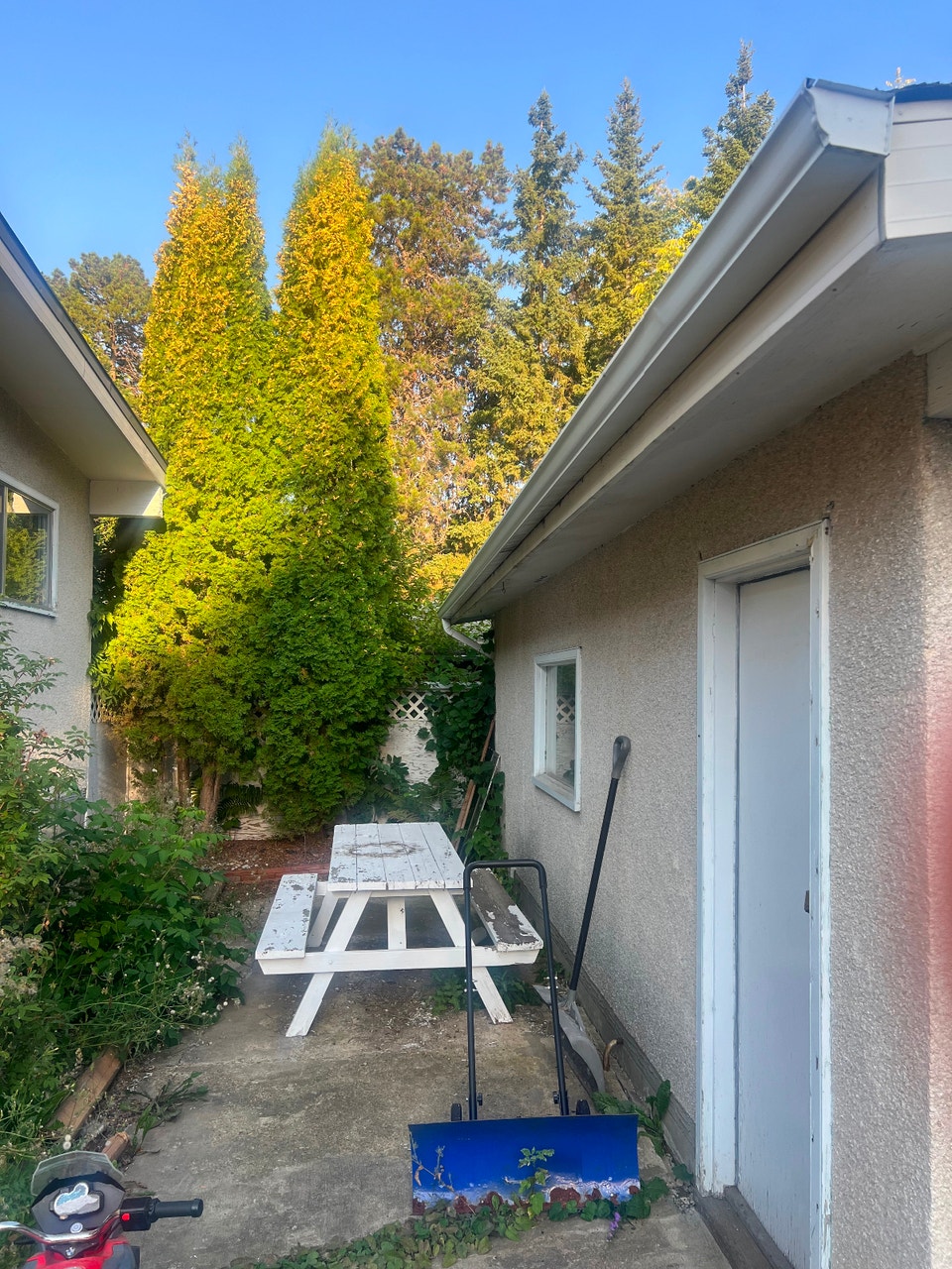 A Beautiful 3 bedroom house for rent on 106 street and 60A ave 5