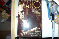 picasso creator and destroyer paperback book