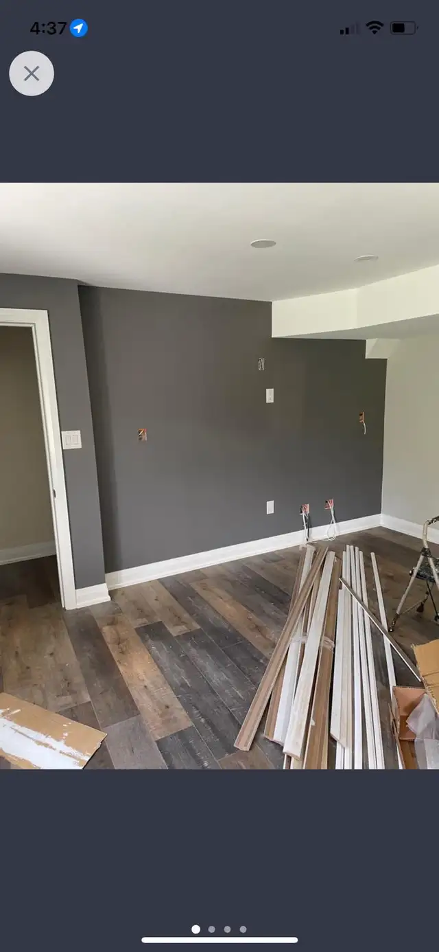 Professional Painters437431607818332166