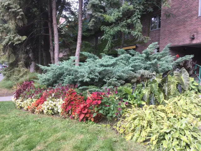Gardener - Gardener (Male/Female) - Fall Clean-up