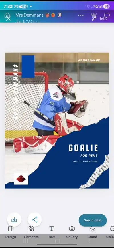 Rent a goalie , View more