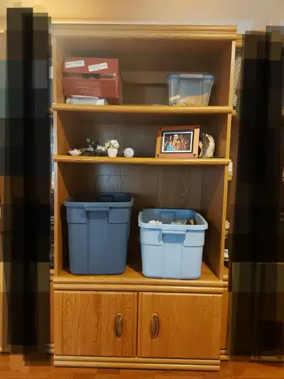 Entertainment Shelf, solid wood, FREE, View more