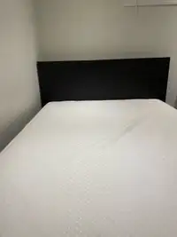 Queen size bed and Matress 