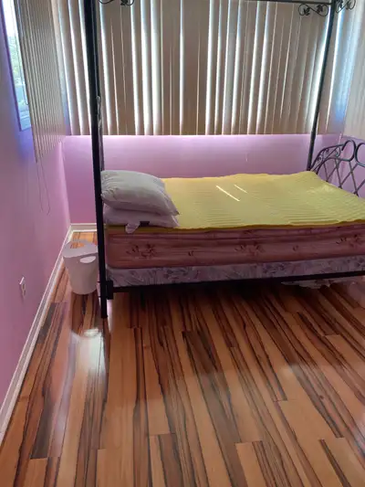 looking for tenant (female only)