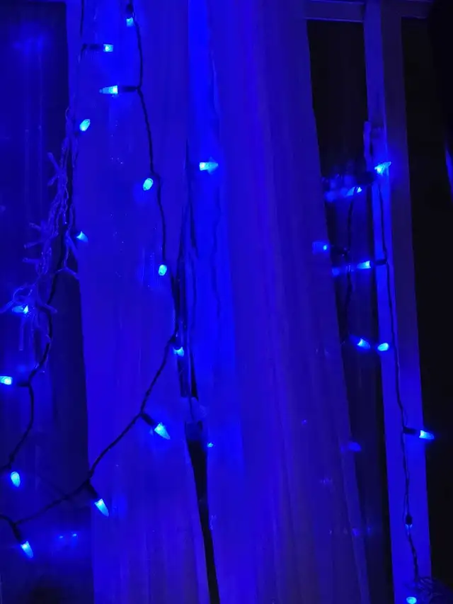 install Christmas Lights in Other in Sault Ste. Marie - Image 2