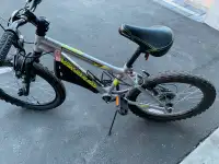 Nakamura 20" Junior Bike