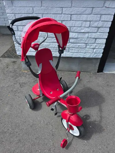 Radio Flyer Stroll 'N Trike, View more