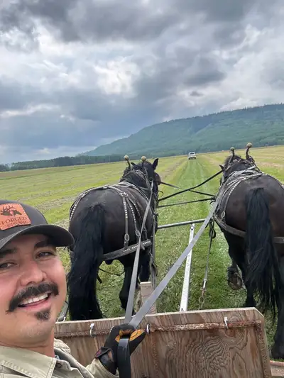 PercheronX Team or Single Sales, View more
