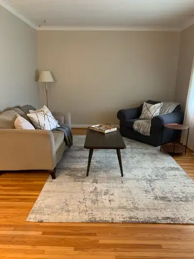 Modern Area Rug, View more