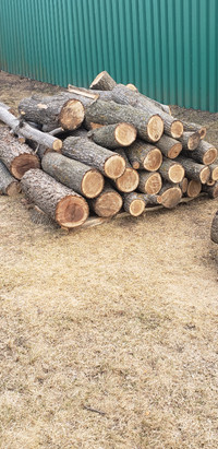 Wood logs for sale