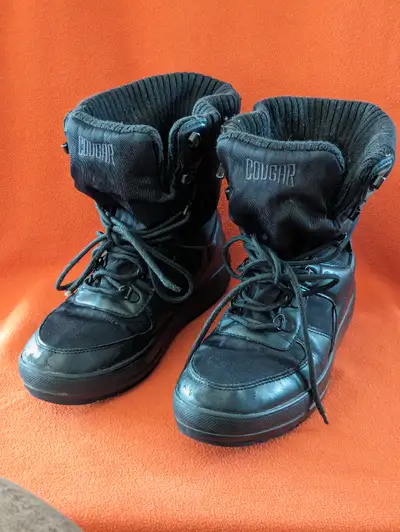 Asking $15 cash, obo. Cougar brand. See all pictures.