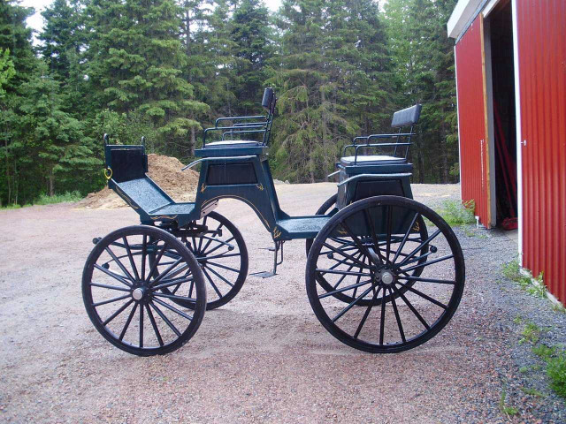 Horse Carriage  in Equestrian & Livestock Accessories in New Glasgow - Image 2
