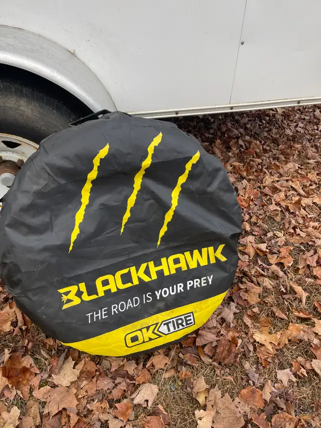 Winter Tires with Rims in Tires & Rims in Muskoka - Image 2