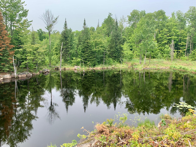 Terre à St-cuthbert dans Terrains à vendre  à Lanaudière - Image 2