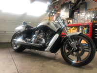 2013 VROD MUSCLE