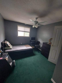 Room Rental on Month to Month 