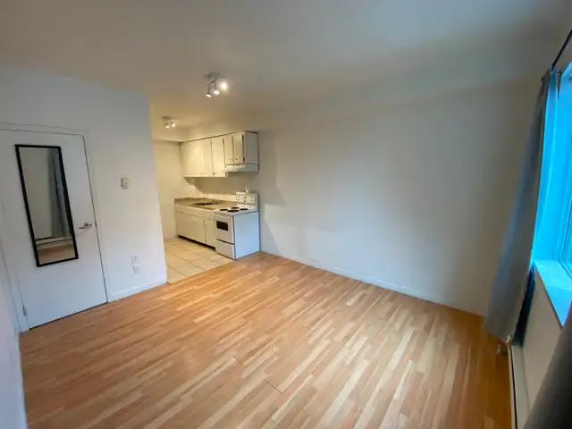 Studio Bachelor Suite in Durand Neighbourhood