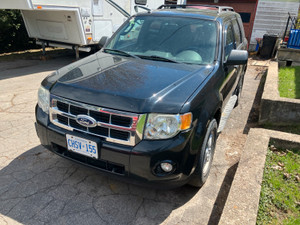 2010 Ford Escape XLT