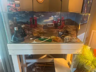 Reptile set up, View more