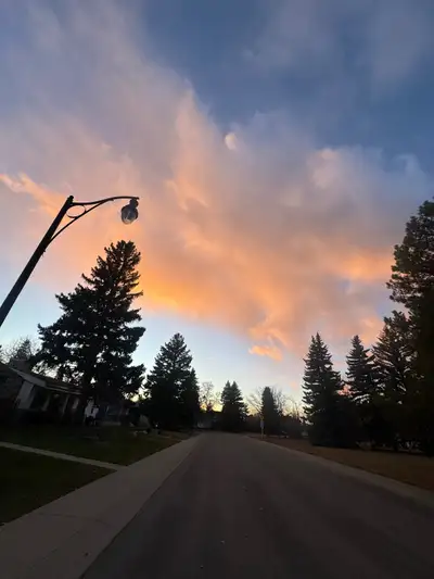 Musical collaborator, View more