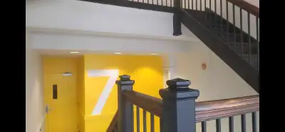 Painting Plastering Repair, View more