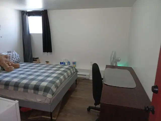 Photo 5