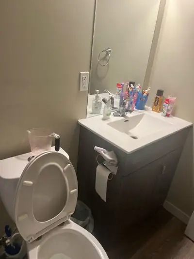 Basement for rent
