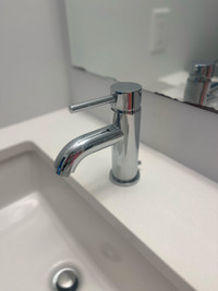 Delta Single Handle Bathroom Faucet + Towel Ring + Toilet Paper