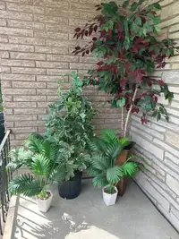 PENDING - Fake plants