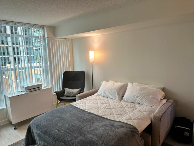 Beautifully Furnished 1 Bedroom with Parking, TTC - Toronto in Long Term Rentals in City of Toronto - Image 4