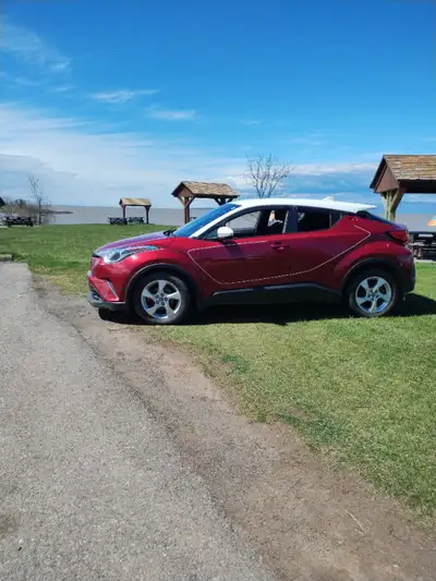 Toyota C-HR XLE 2018