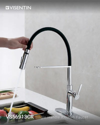 Visentin Single-Handle PullOut Kitchen Faucet w/ Silicon Hose