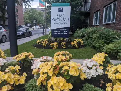 Sublet from Aug 15 to September 30 near university of Montreal