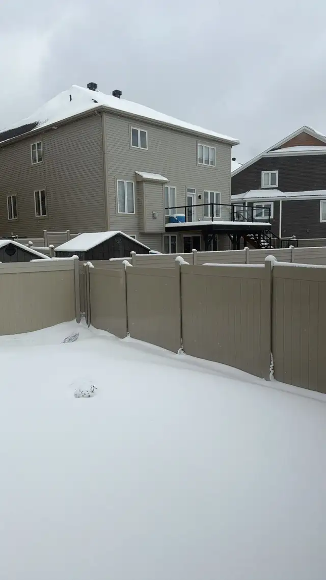 Backyard Fencing65729285003009121