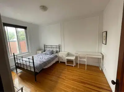 room for rent