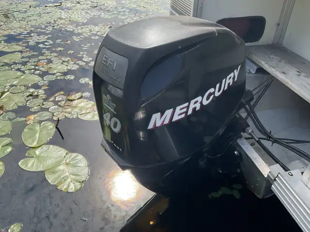 ponton Monark in Powerboats & Motorboats in City of Montréal - Image 3